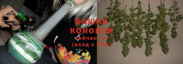не бодяженный Горно-Алтайск