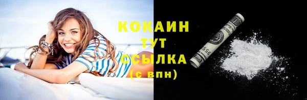 не бодяженный Горно-Алтайск