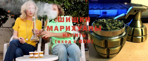 не бодяженный Горно-Алтайск