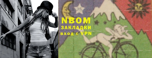 не бодяженный Горно-Алтайск