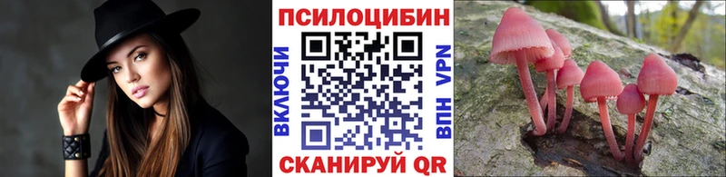Псилоцибиновые грибы Psilocybe  Находка 